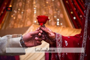 905326 513628062031643 1576504224 o